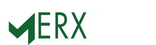 Merxally-B.V.-Logo-footer
